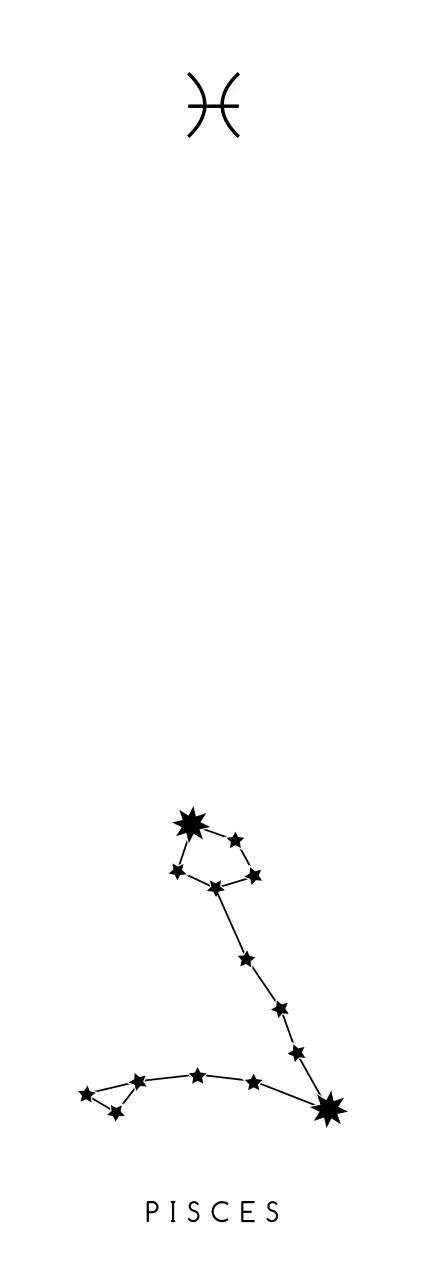 검정색의 별자리 모양과 심볼이 있고 빛나는 효과 일러스트가 있는 기념 굿즈