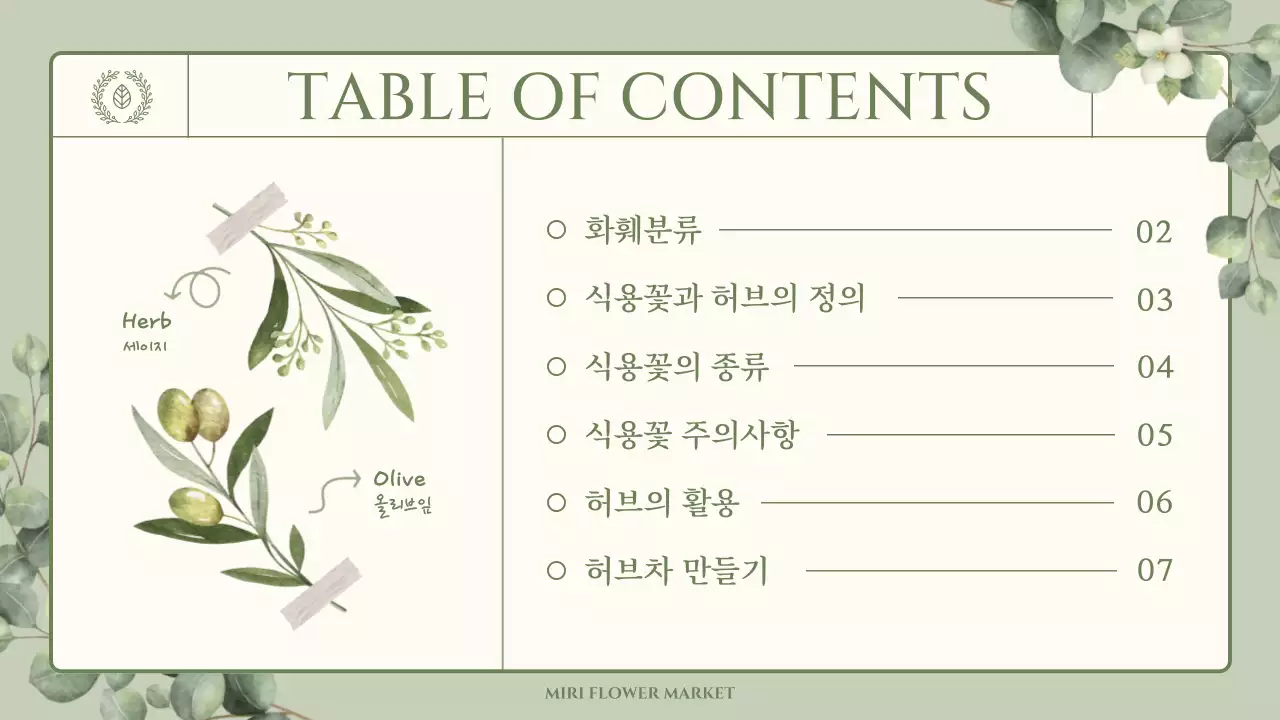 초록색의 감성적인 수채화 일러스트 테마의 식용꽃과 허브 상식