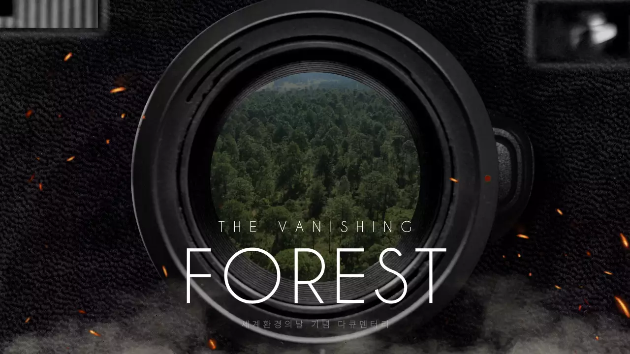 검정색과 흰색의 숲 환경 다큐멘터리