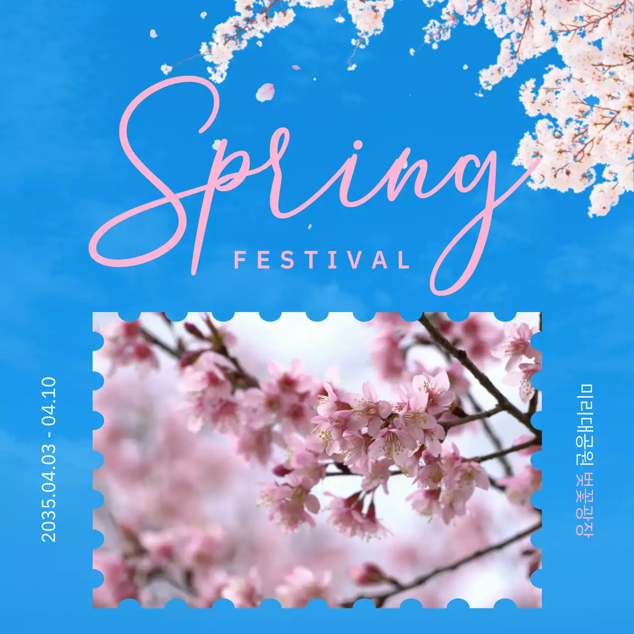 블루와 핑크의 꽃잎 날리는 벚꽃 축제 홍보