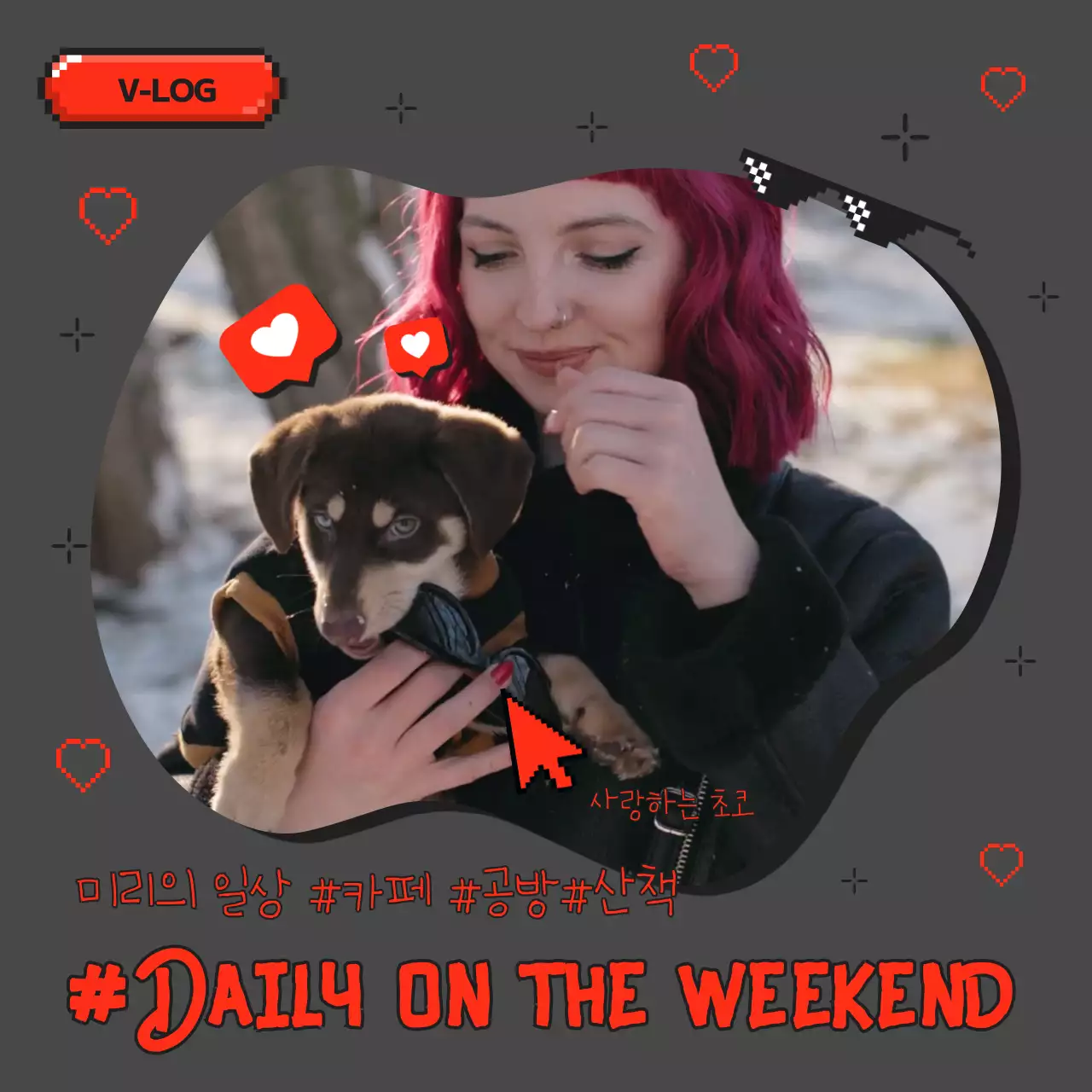 회색과 주황색의 힙한 강아지와 여성의 브이로그