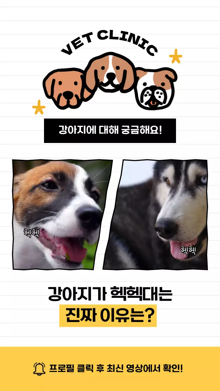 노란색과 검정색의 강아지 질문과 답변