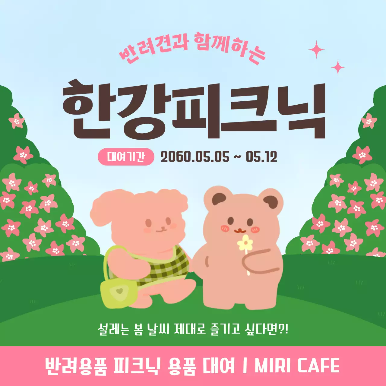 핑크와 그린의 봄컨셉의 한강피크닉 피드디자인