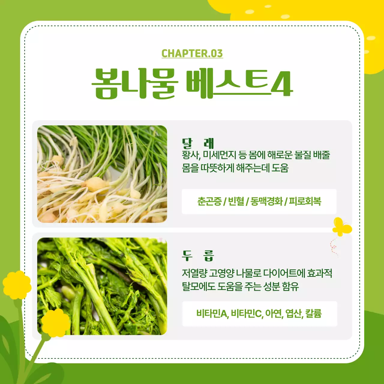 연두색과 핑크색의 화사한 봄나물