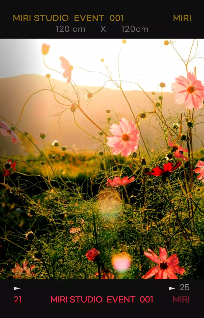 대비가 강한 컬러감의 감성적이고 힙한 사진 필름 프레임 컨셉 개인 굿즈용 