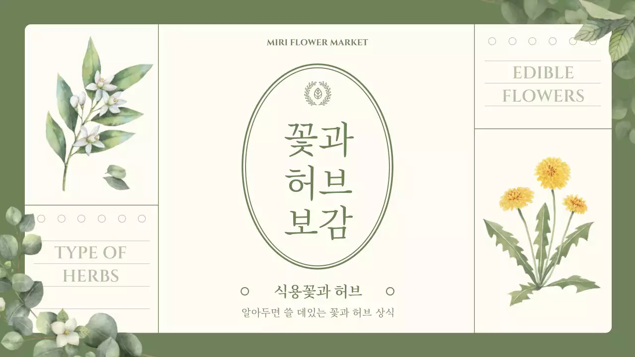초록색의 감성적인 수채화 일러스트 테마의 식용꽃과 허브 상식