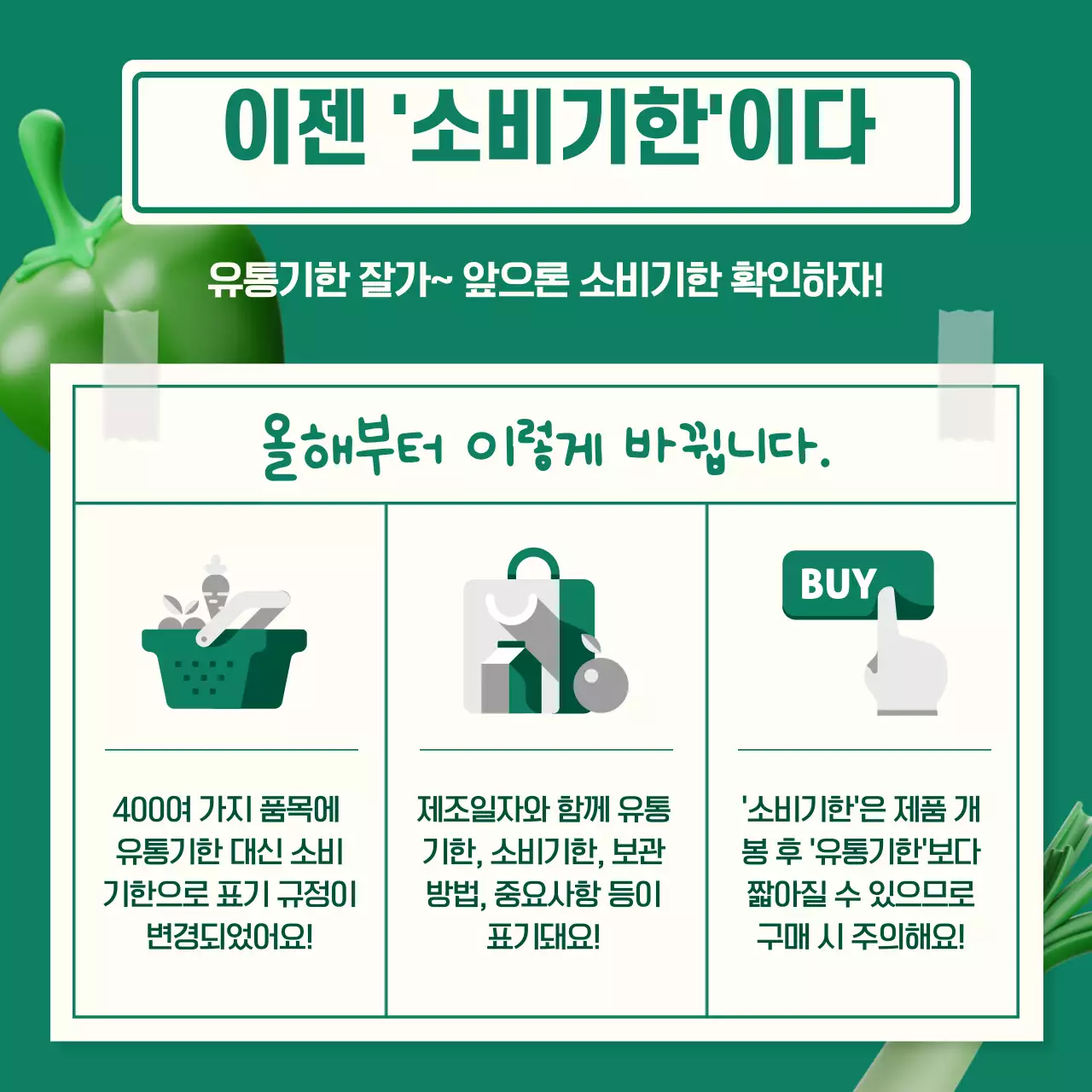 초록색의 깔끔하고 신뢰감을 주는 정부 정책 안내