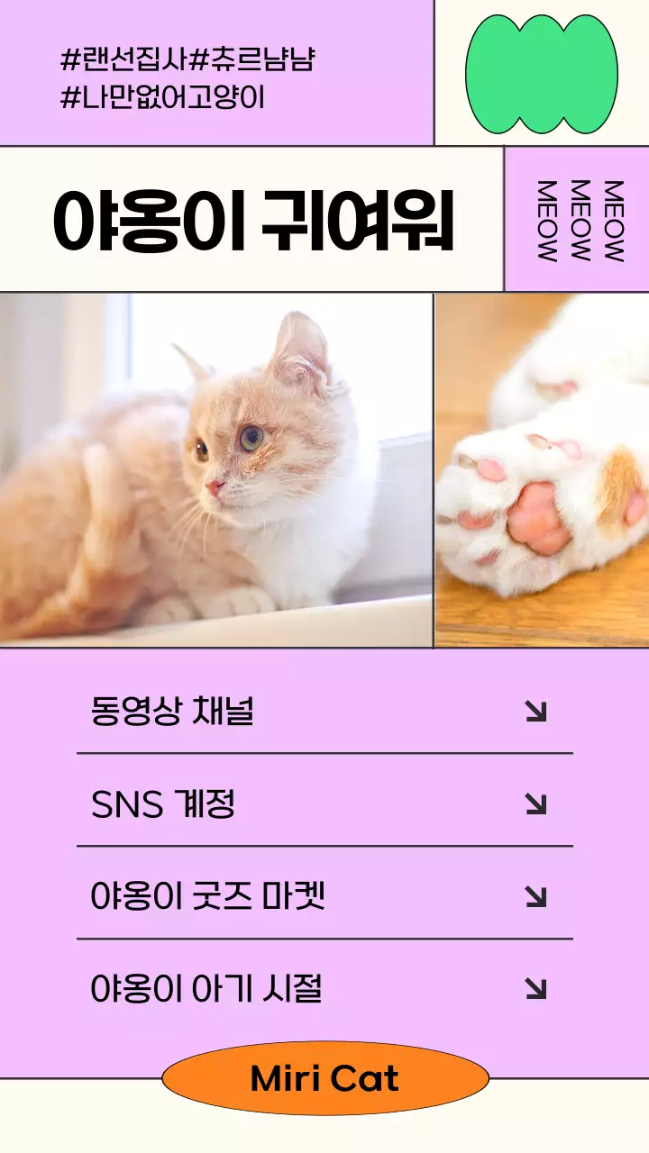 핑크색 바탕과 고양이 사진이 있는 심플한 SNS 홍보