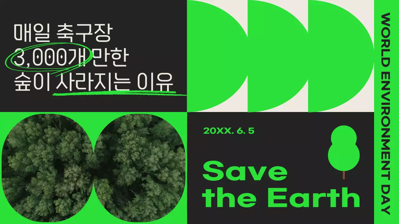 검정색 초록색의 숲이 사라지는 이유