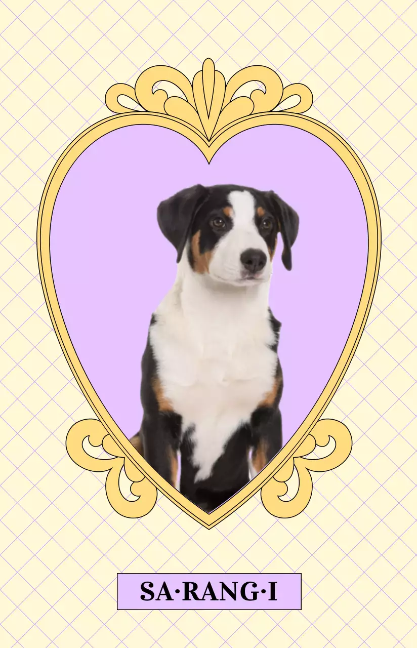 아기자기한 색상의 반려동물 사진을 넣은 하트모양의 고급스러운 앤틱 프레임