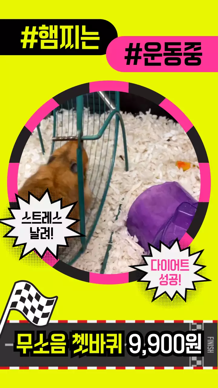 연두 핑크 햄스터 귀여운 쳇바퀴 홍보