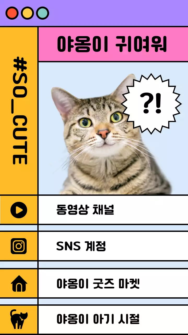 보라색과 노란색의 키치한 고양이 사진의 인터넷창 컨셉