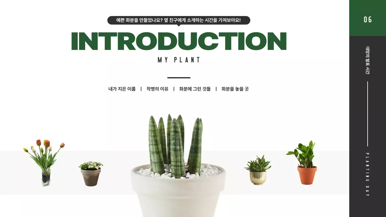 초록색상에 식물을 활용한 깔끔한 식목일 프로그램 안내서