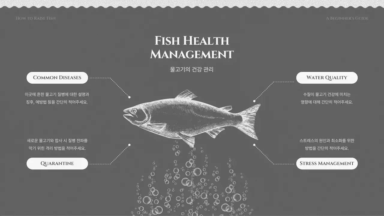 검정색과 회색의 물고기 기르기 교육