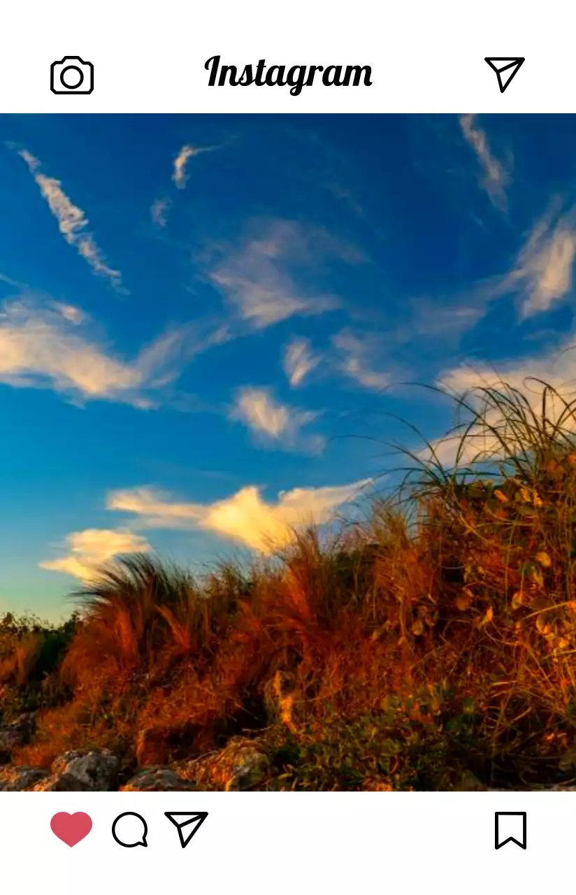 밝고 따뜻한 컬러감의 심플모던한 인스타그램 사진 프레임 컨셉 개인굿즈용 