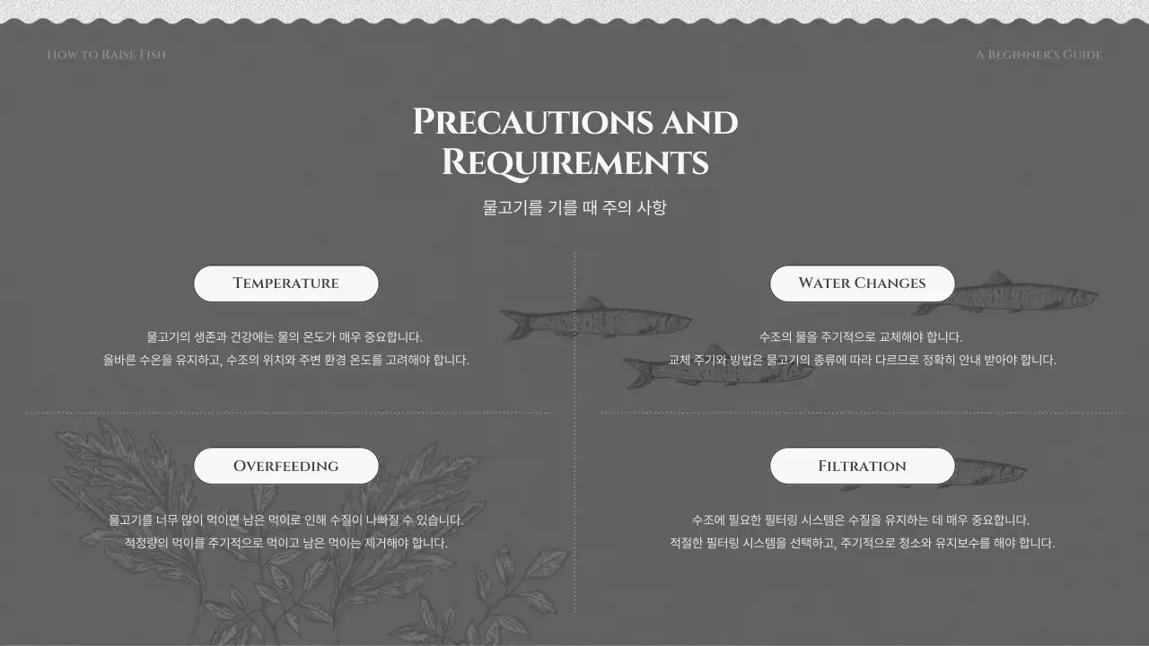 검정색과 회색의 물고기 기르기 교육