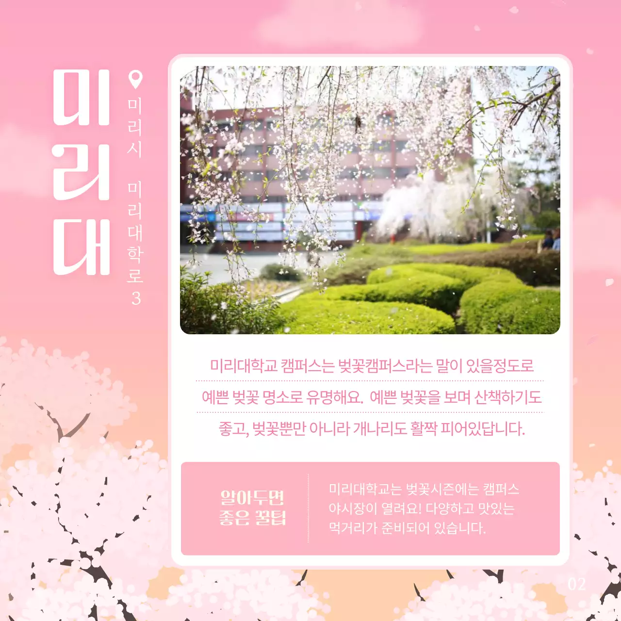 핑크색의 화사한 벚꽃 추천 명소