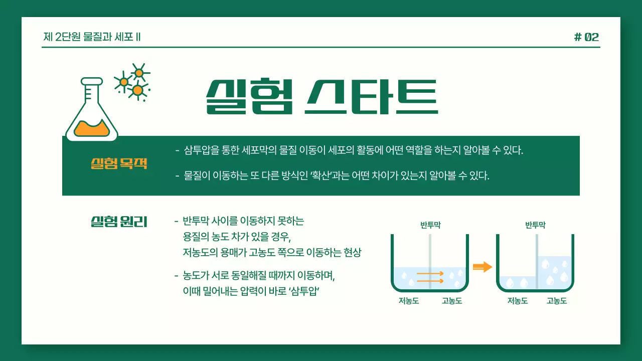 초록색과 주황색의 깔끔한 과학 실험 보고서