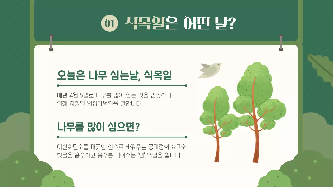 초록 스케치북 컨셉의 화분키우기