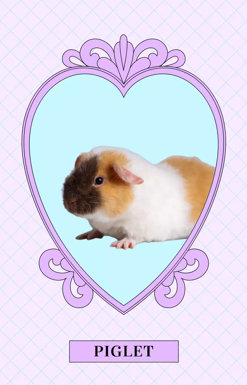 아기자기한 색상의 반려동물 사진을 넣은 하트모양의 고급스러운 앤틱 프레임