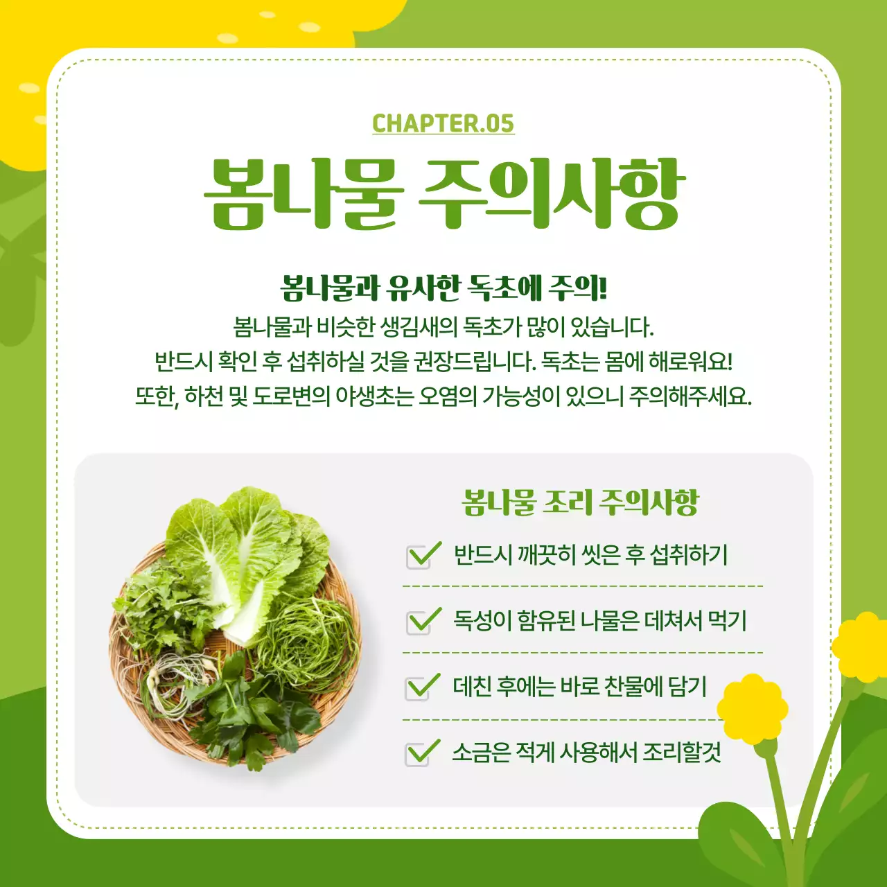 연두색과 핑크색의 화사한 봄나물