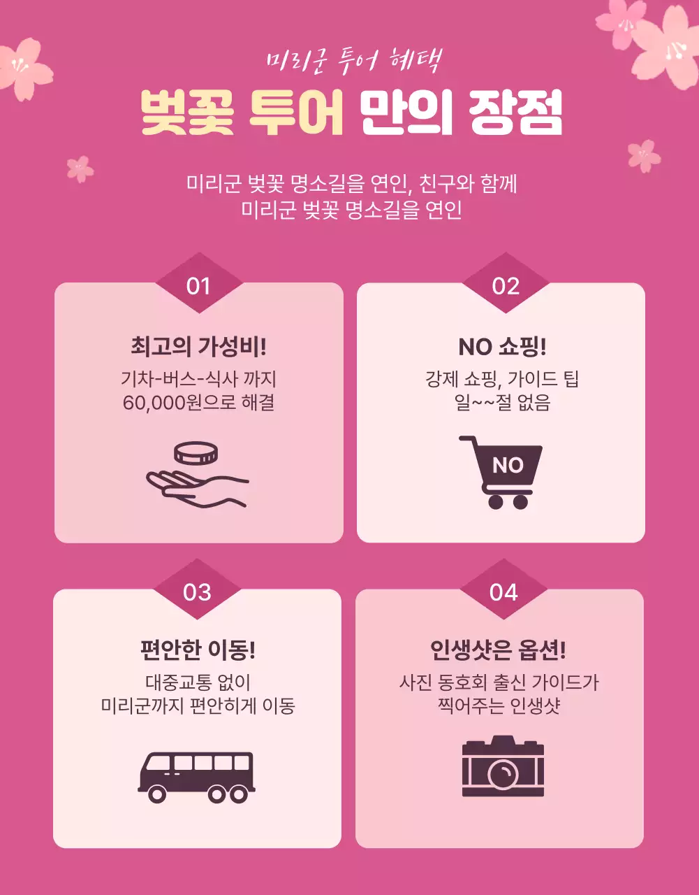 파스텔 핑크 컬러의 아기자기한 벚꽃 일러스트 여행 홍보