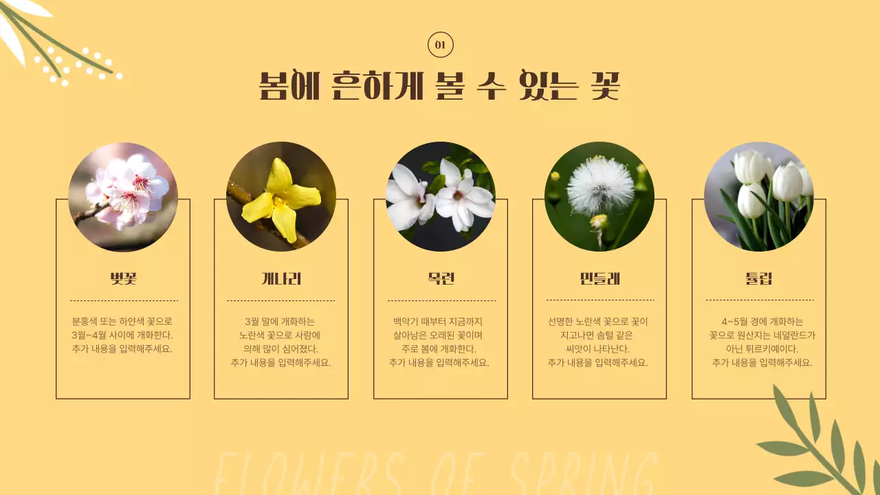 노란색과 주황색의 아기자기한 봄꽃 소개