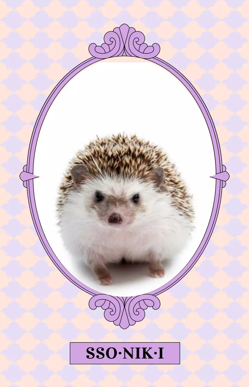 아기자기한 색상의 반려동물 사진을 넣은 원형의 고급스러운 앤틱 프레임