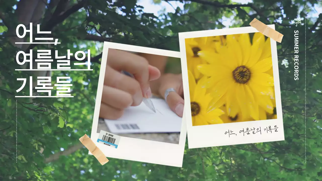 초록색 숲속의 폴라로이드 사진이 있는 자연적인 감성적 인트로