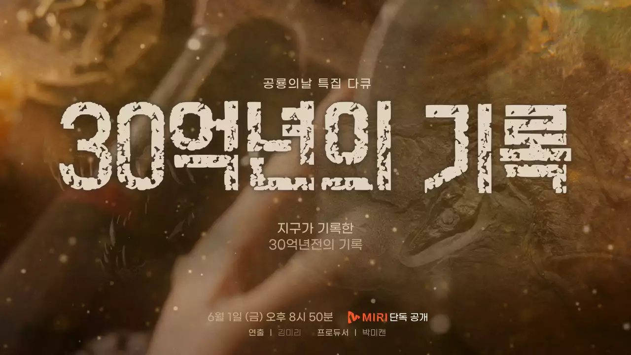 브라운색 빈티지한 텍스쳐의 화석동영상 공룡의날 특집다큐 