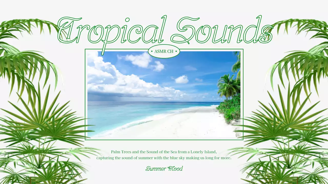 흰색과 초록색의 여름 바다 플레이리스트