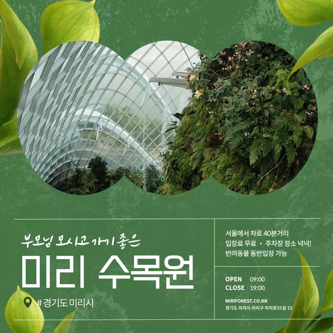 초록색 배경과 화이트컬러의 폰트를 사용한 깔끔하고 심플한 여행지 추천