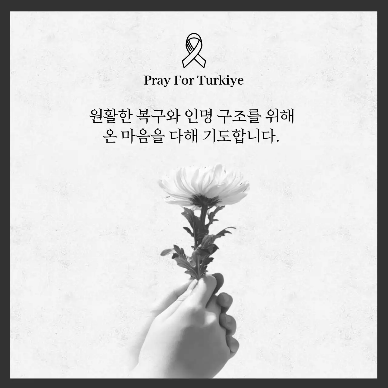 회색의 국화꽃 사진 강조의 지진 피해 추모