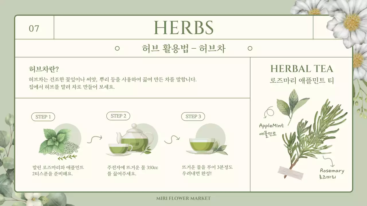 초록색의 감성적인 수채화 일러스트 테마의 식용꽃과 허브 상식