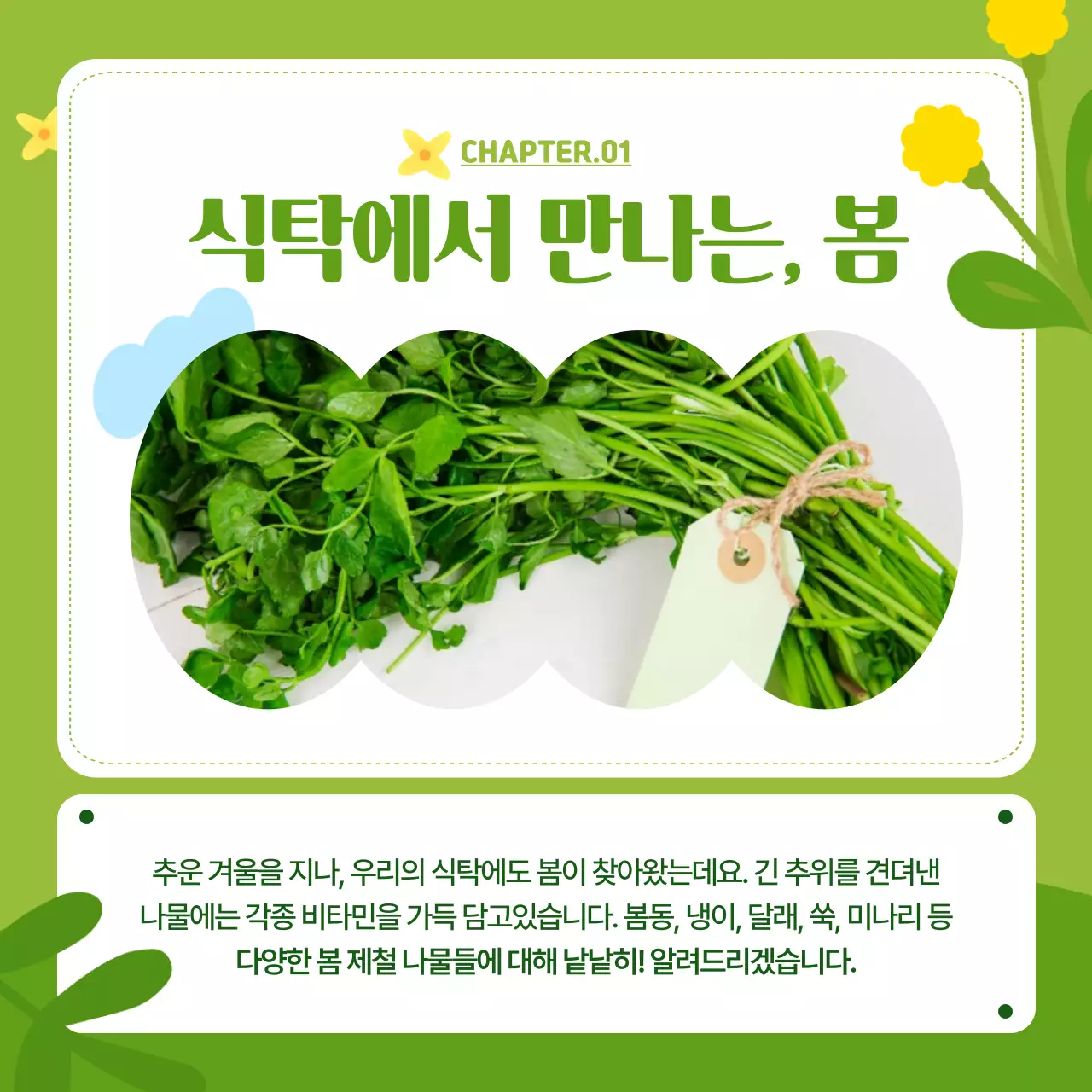 연두색과 핑크색의 화사한 봄나물