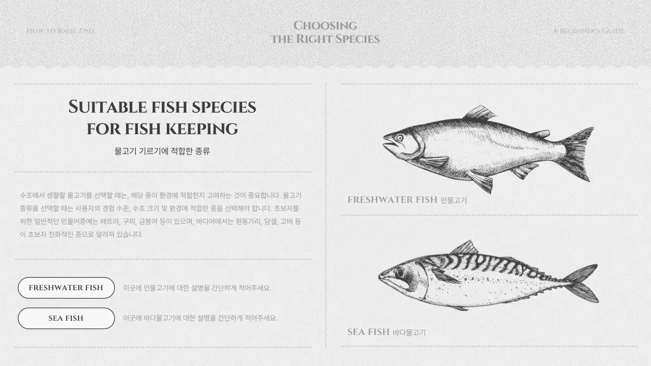 검정색과 회색의 물고기 기르기 교육