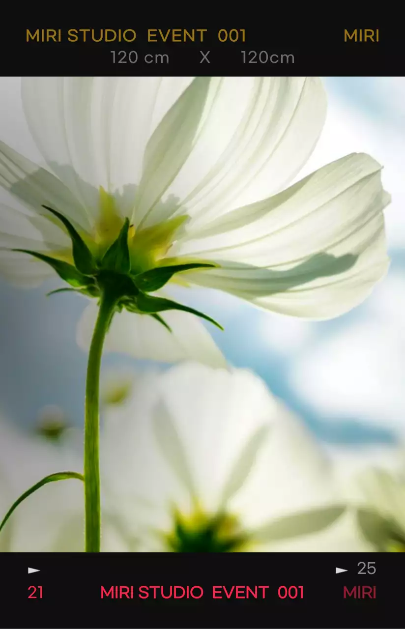 대비가 강한 컬러감의 감성적이고 힙한 사진 필름 프레임 컨셉 개인 굿즈용 