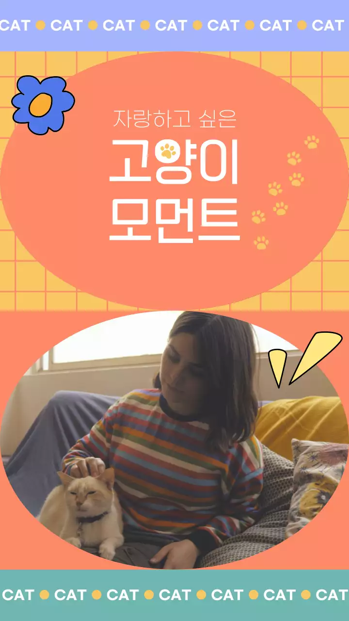 노랑색과 분홍색의 귀여운 고양이 자랑하기