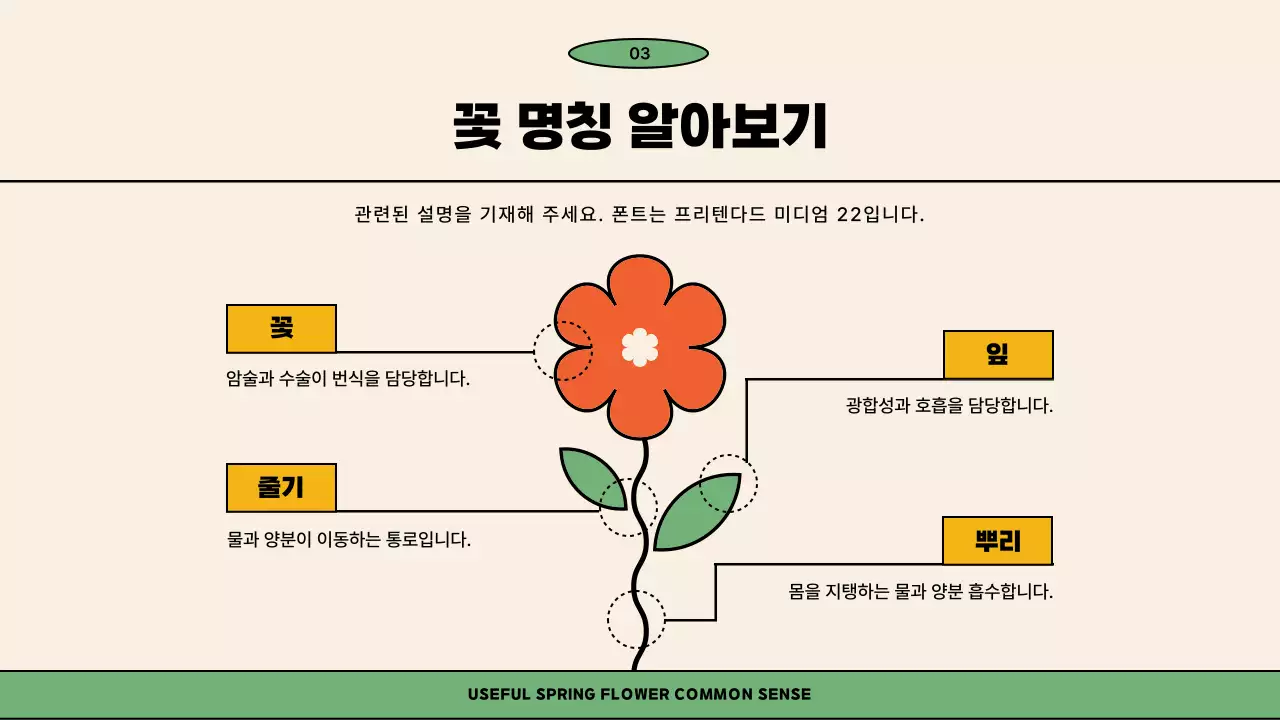 아이보리 오렌지 색상의 일러스트 컨셉의 귀여운 봄 꽃 교양 강의용
