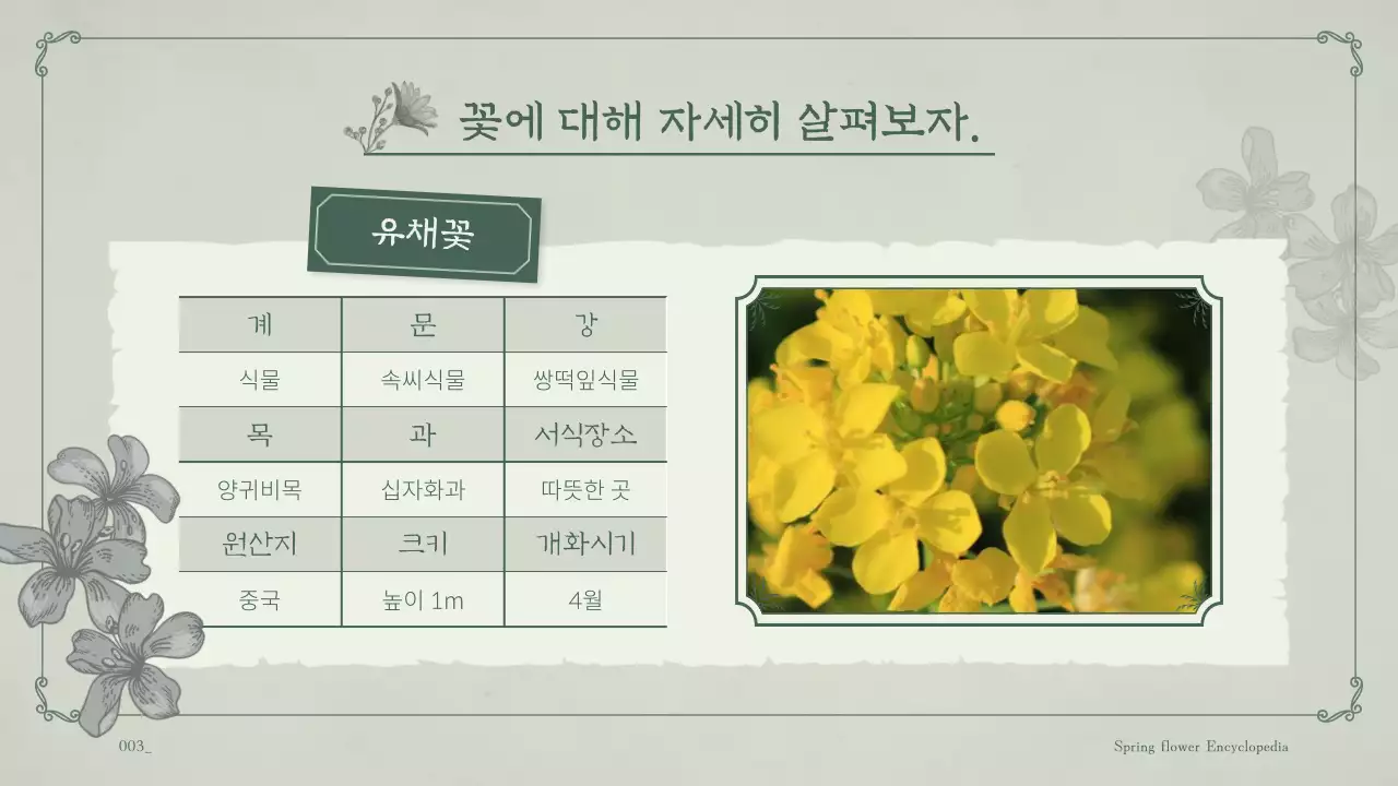 민트 배경의 꽃이 가득한 봄꽃 교양 테마