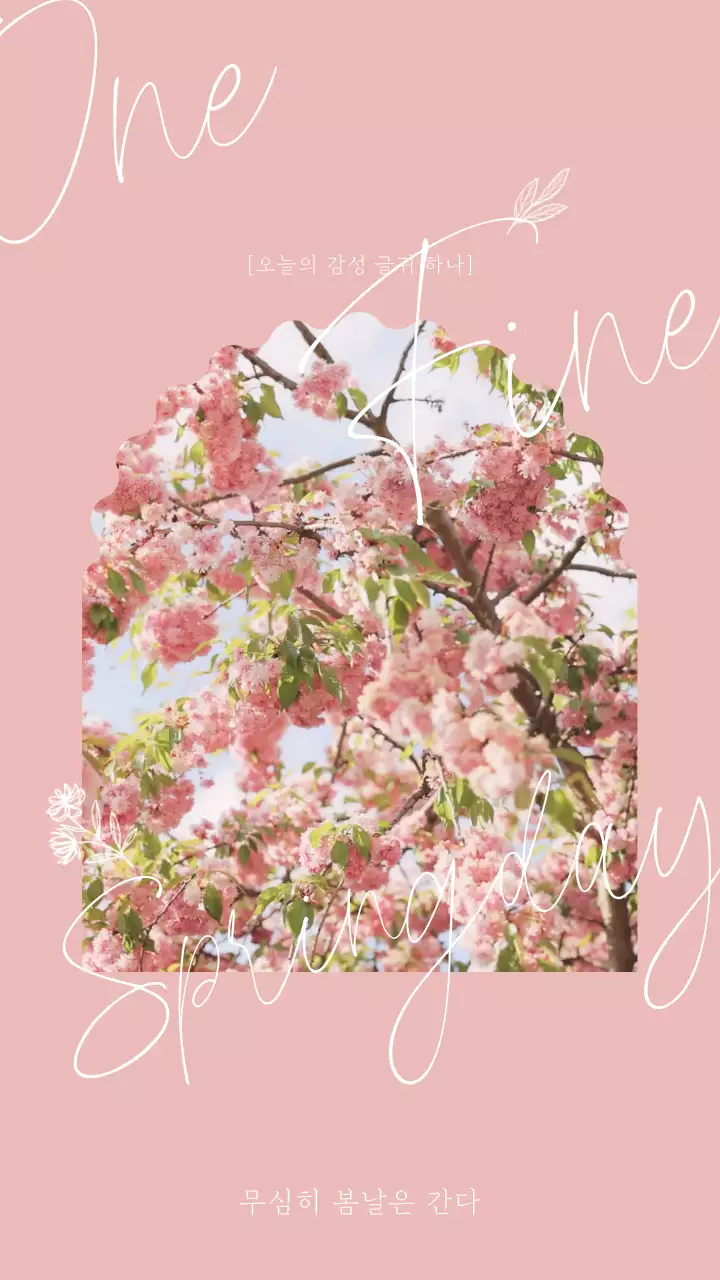 핑크색 꽃 동영상 배경에 움직이는 손글씨로 포인트를 준 감성적인 글귀