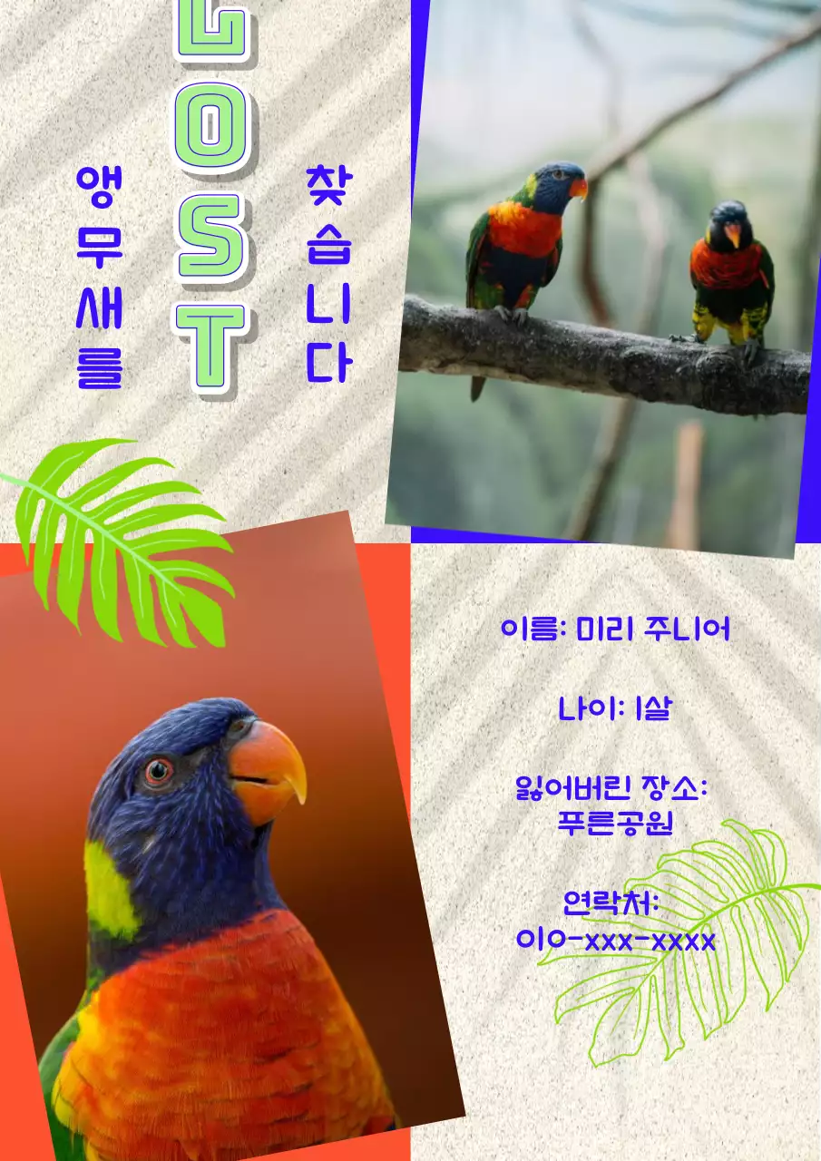 오렌지 블루의 귀여운 반려 앵무새 찾기 전단지 1