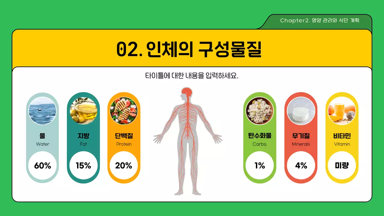 녹색과 노란색의 영양 관리와 식단계획 발표 과제 교육 