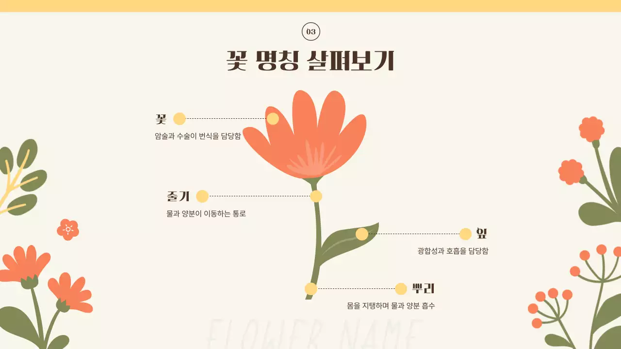 노란색과 주황색의 아기자기한 봄꽃 소개