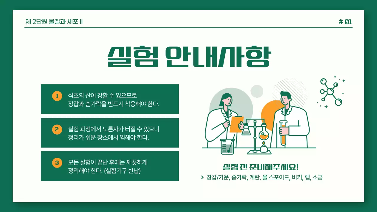 초록색과 주황색의 깔끔한 과학 실험 보고서