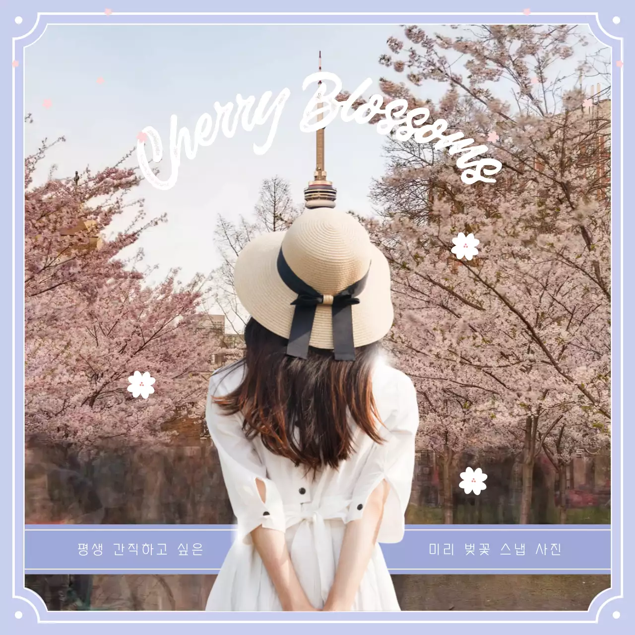 베이지색과 보라색의 벚꽃 스냅 사진 홍보
