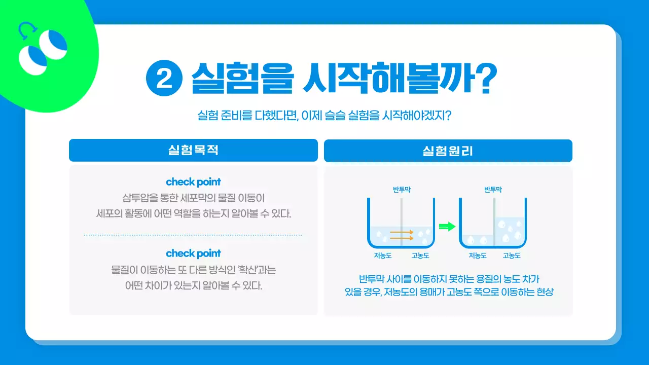 파란색과 연두색의 귀여운 캐릭터 과학 실험 보고서