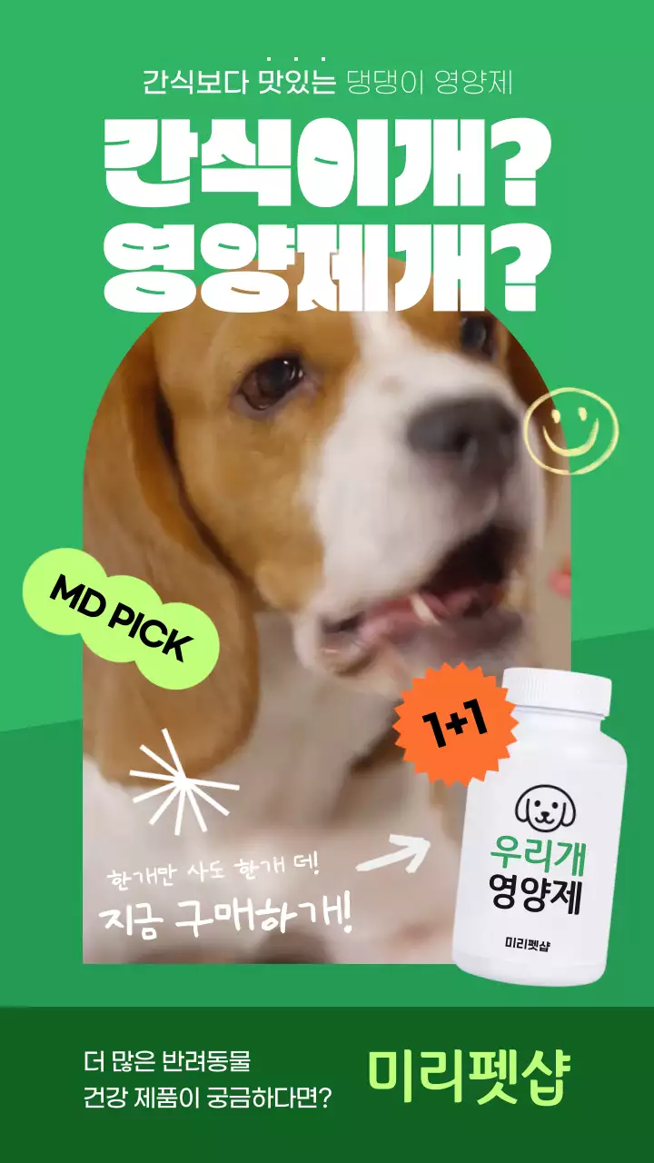 초록색과 주황색의 반려견 건강식품 홍보