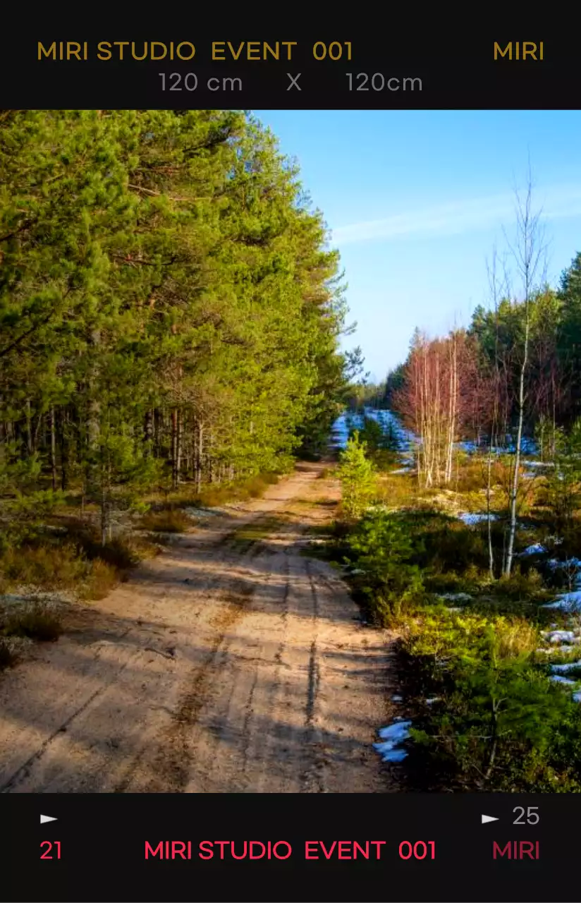 대비가 강한 컬러감의 감성적이고 힙한 사진 필름 프레임 컨셉 개인 굿즈용 