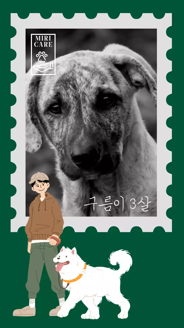 초록색과 파랑색의 동물 입양 홍보